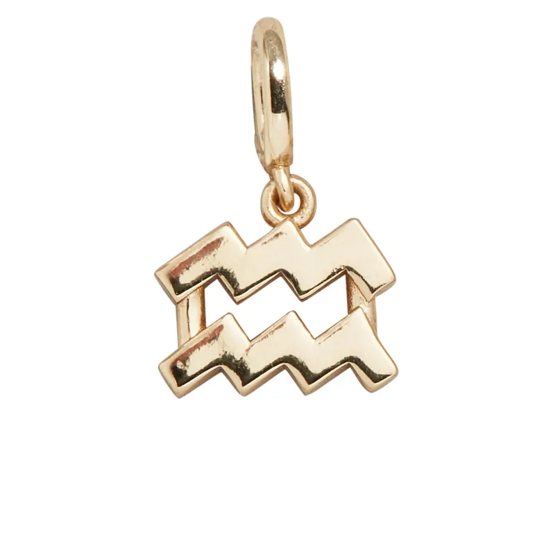 Zodiac Symbol Cluster Charm - Aquarius sold by BaubleBar
