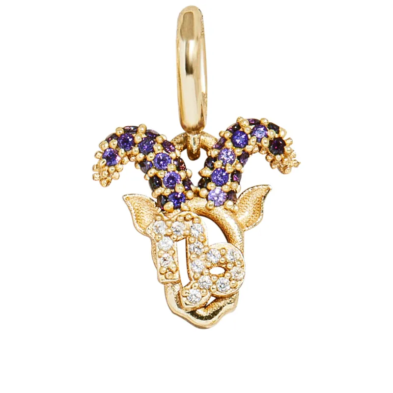 Pavé Zodiac Cluster Charm - Capricorn sold by BaubleBar