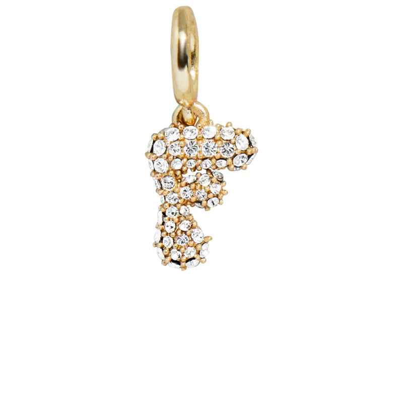 Pave Bubble Initial Cluster Charm - F sold by BaubleBar