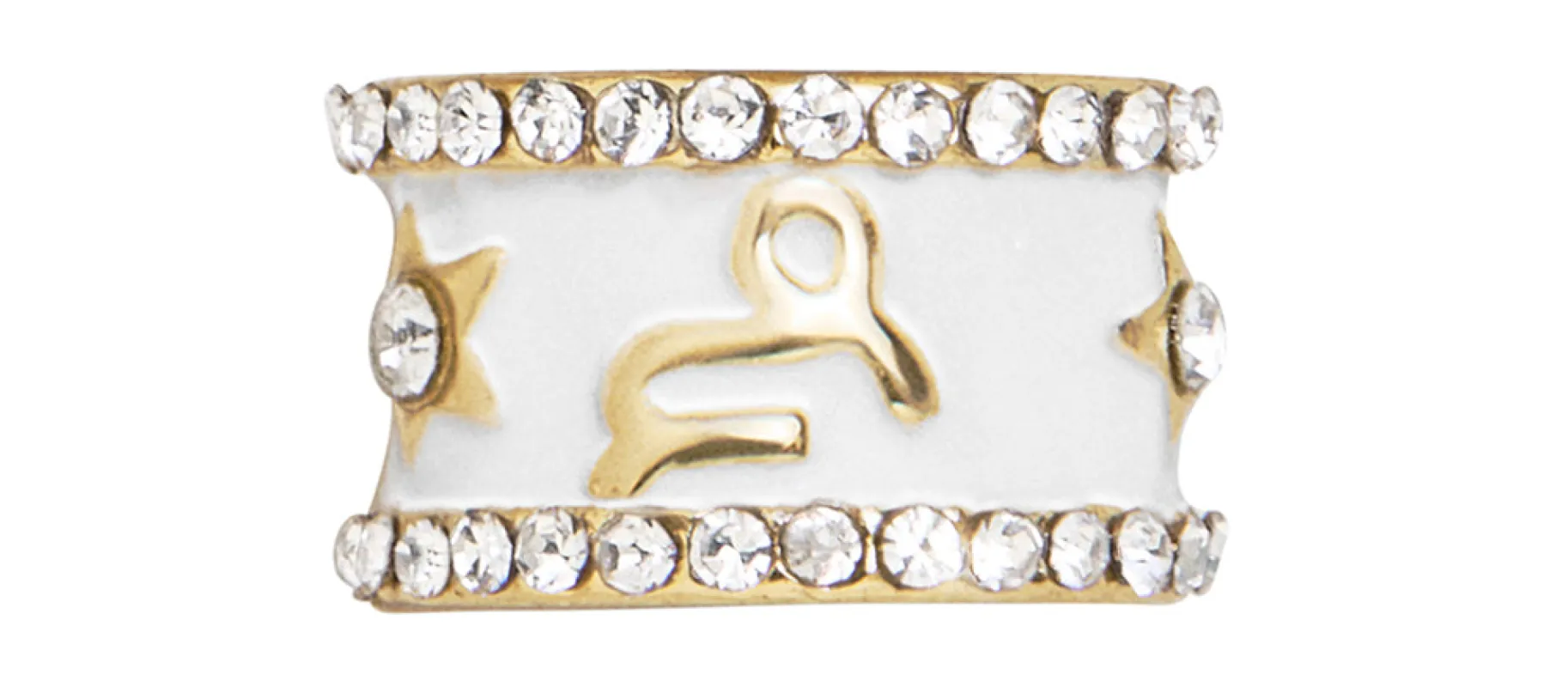 Zodiac 360 Spinner Charm - Capricorn sold by BaubleBar