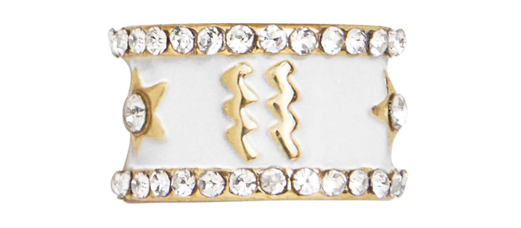 Zodiac 360 Spinner Charm - Aquarius sold by BaubleBar