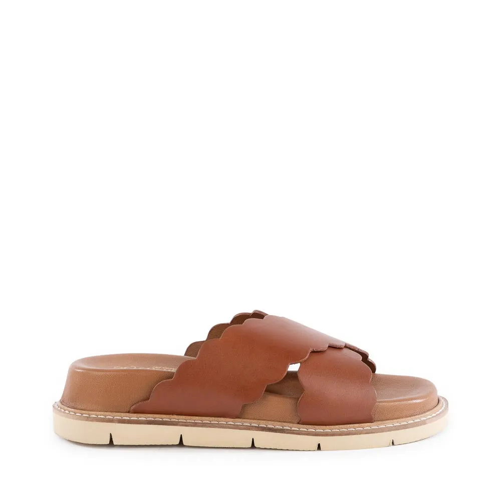 Woodstock Sandal sold by BC Footwear