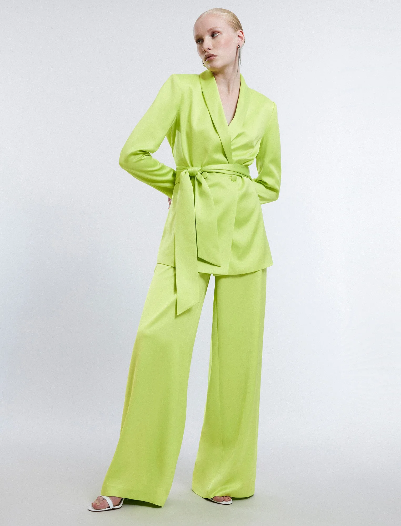 Harrison Wide-Leg Satin Trouser sold by BCBGMaxAzria product image thumbnail 5