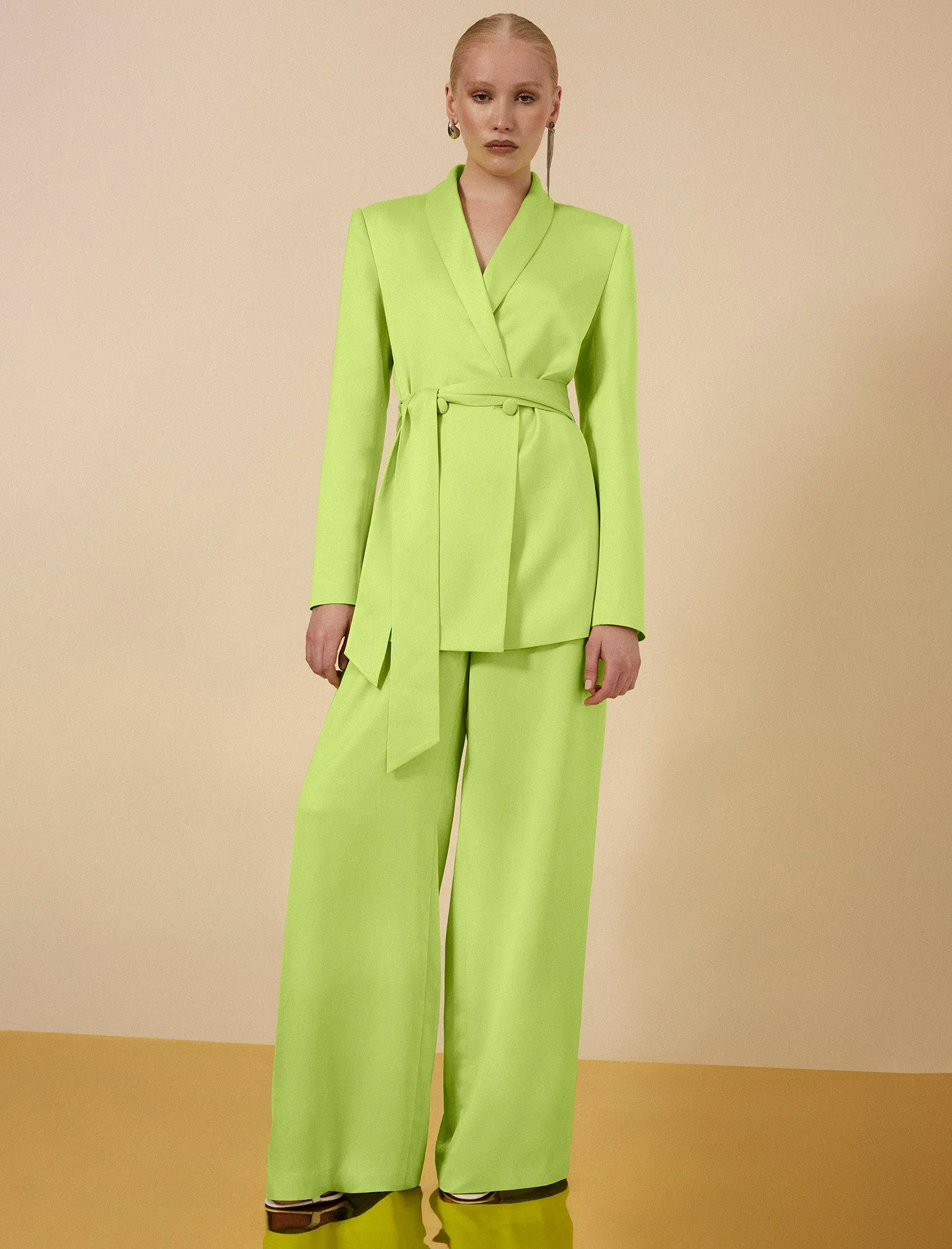 Harrison Wide-Leg Satin Trouser sold by BCBGMaxAzria