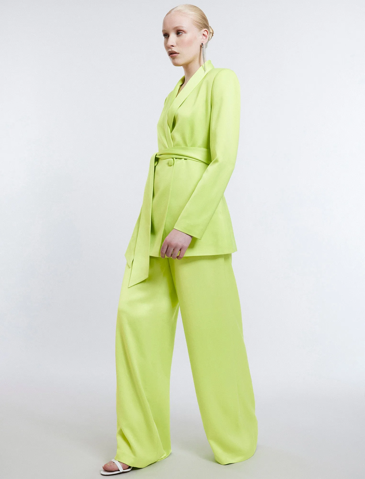 Harrison Wide-Leg Satin Trouser sold by BCBGMaxAzria product image thumbnail 3