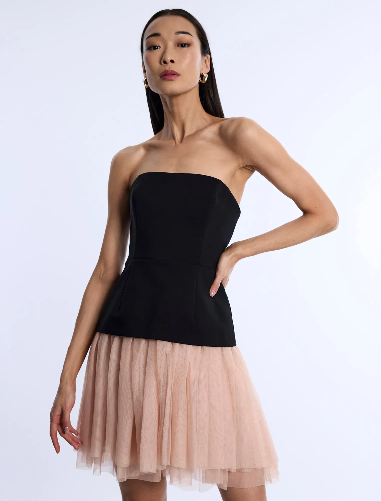 Strapless Tutu Dress sold by BCBGMaxAzria product image thumbnail 5