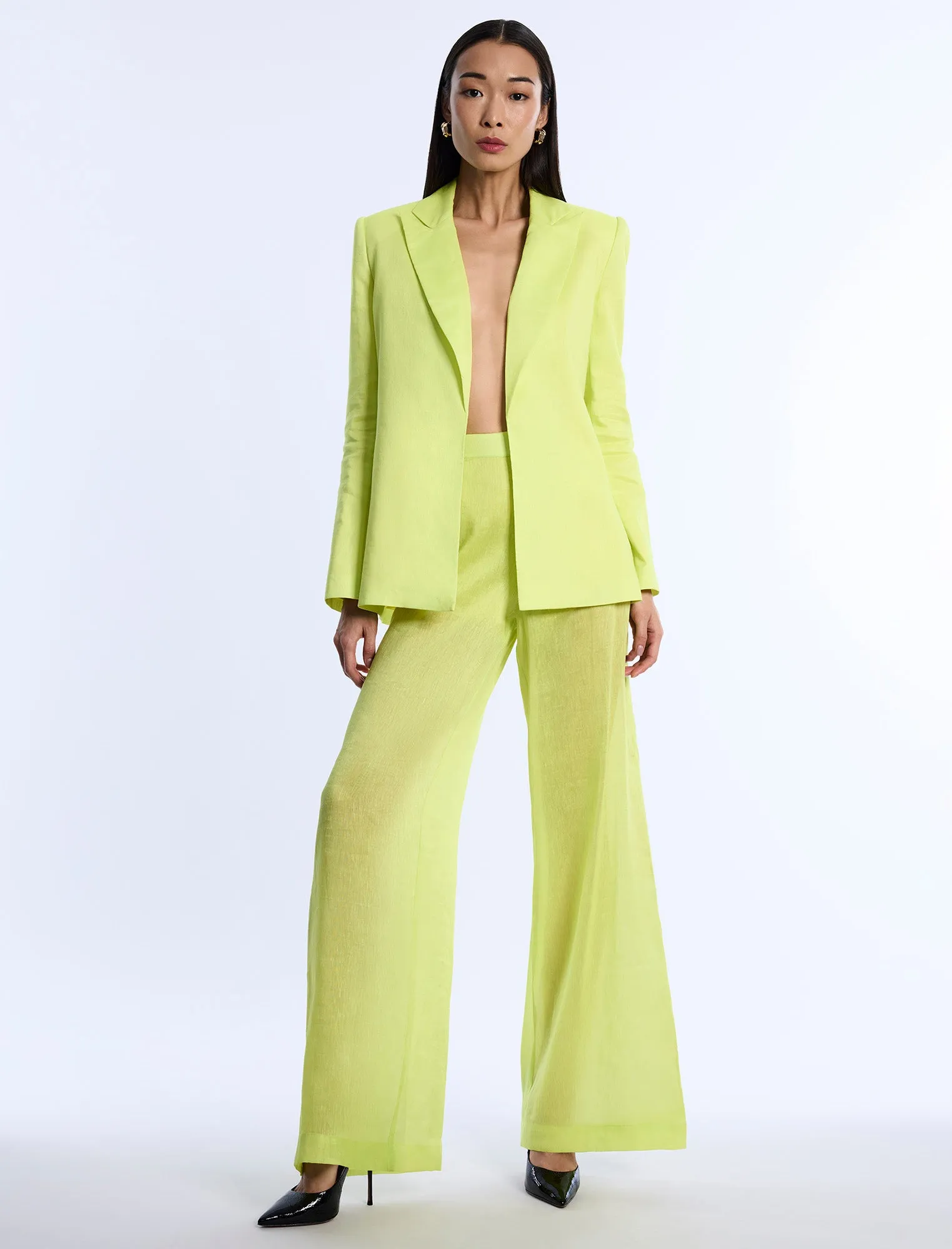 Airy Sheer Textured Pant sold by BCBGMaxAzria