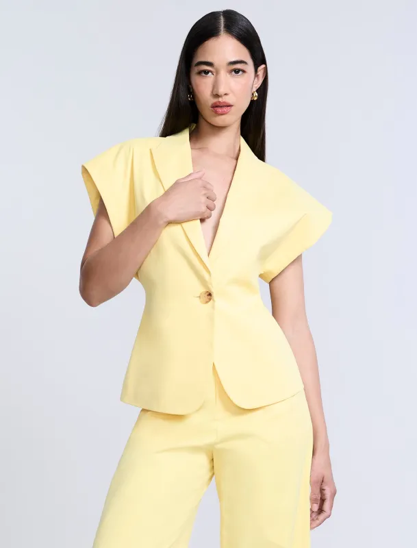 Twill Vest sold by BCBGMaxAzria