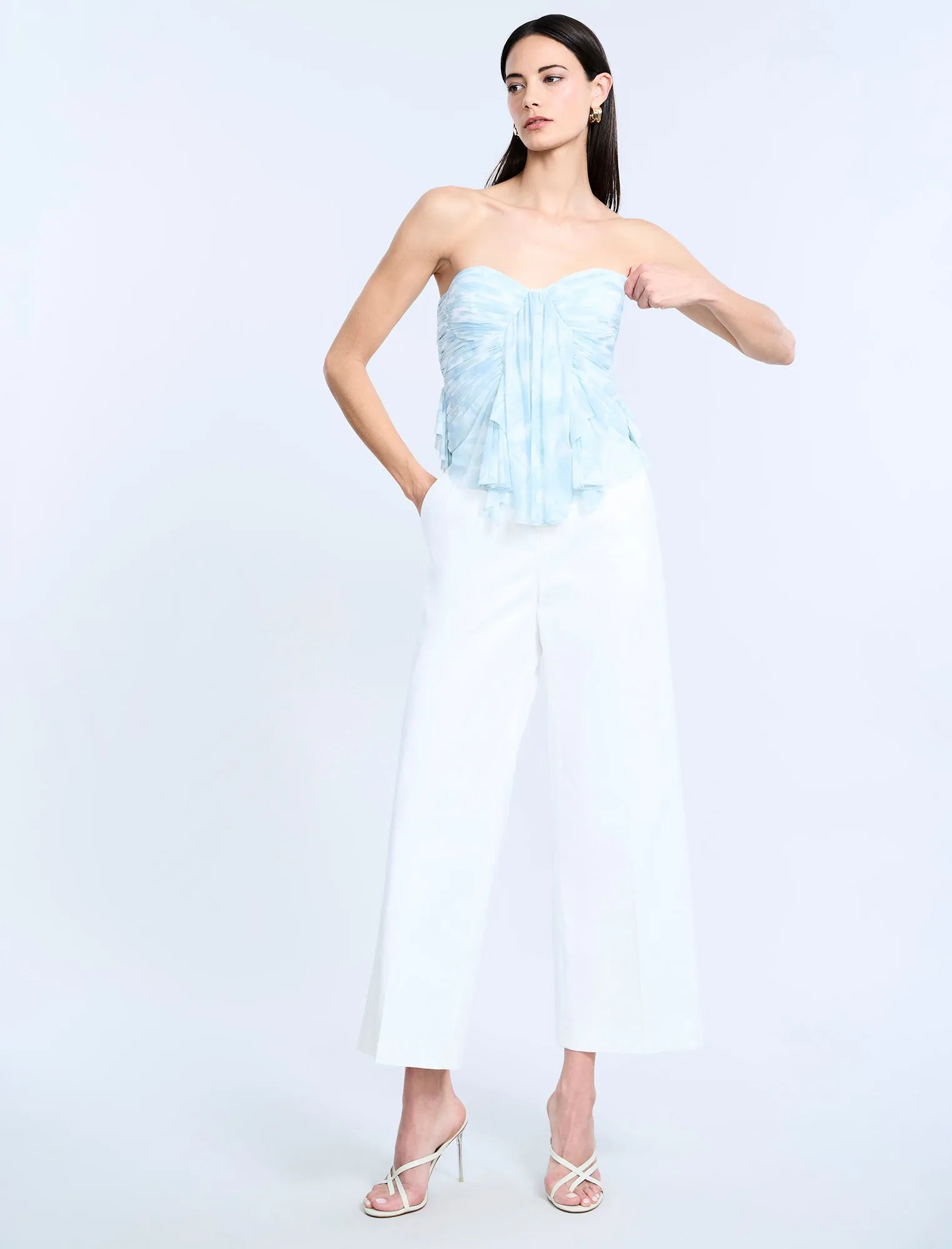 Printed Mesh Corset sold by BCBGMaxAzria product image thumbnail 4