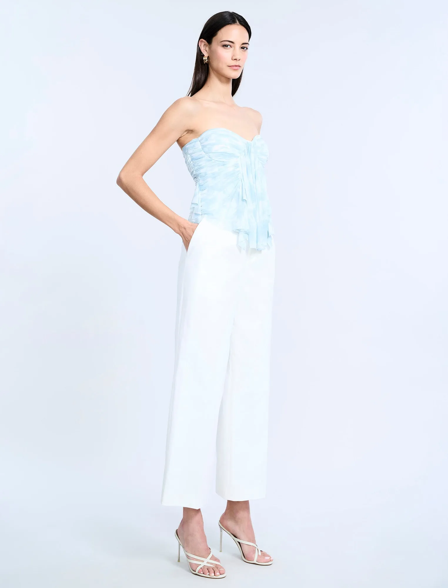 Printed Mesh Corset sold by BCBGMaxAzria product image thumbnail 3