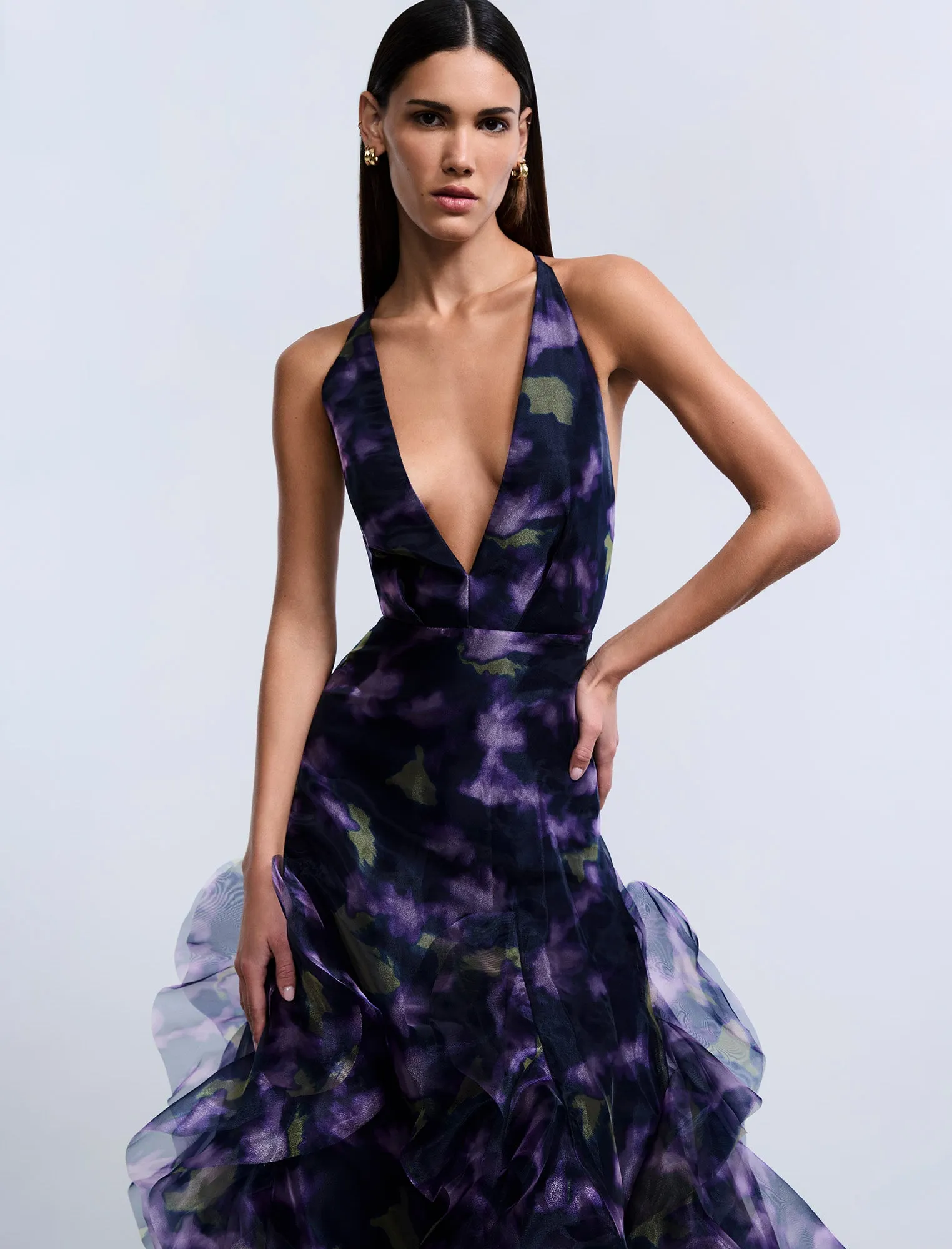 Printed Organza Gown sold by BCBGMaxAzria product image thumbnail 5