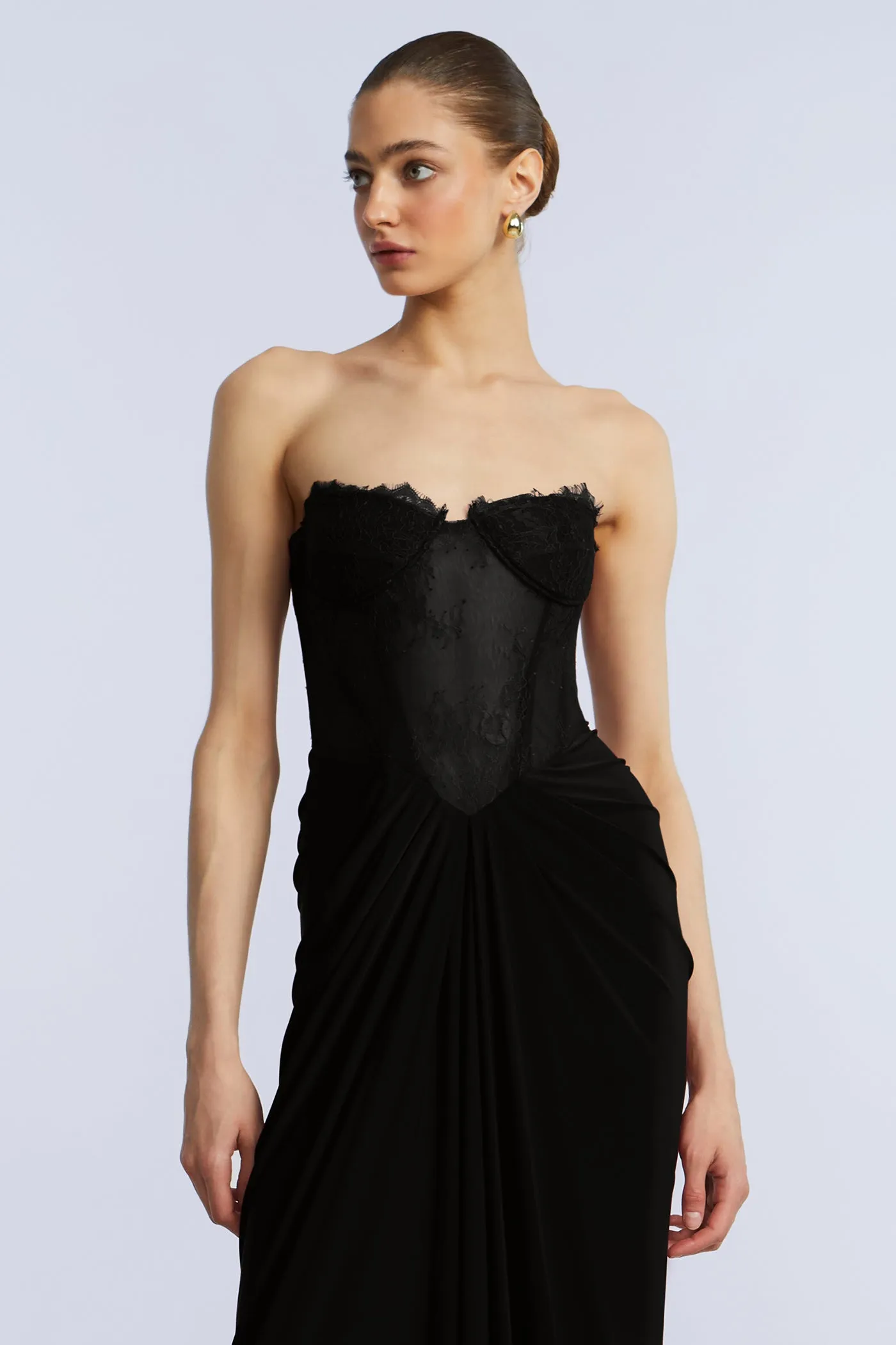 Lace & Jersey Gown sold by BCBGMaxAzria product image thumbnail 4