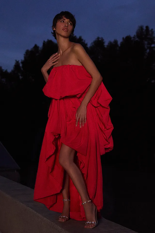 Talia Gown sold by BCBGMaxAzria product image thumbnail 4