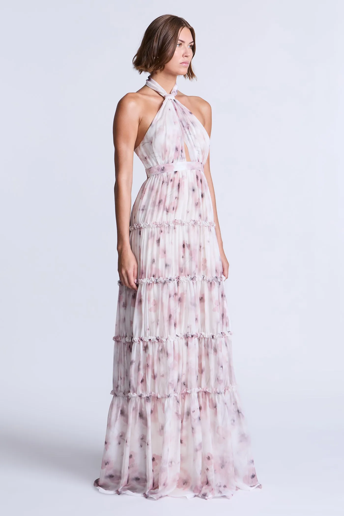 Sabrina Printed Dress sold by BCBGMaxAzria product image thumbnail 4