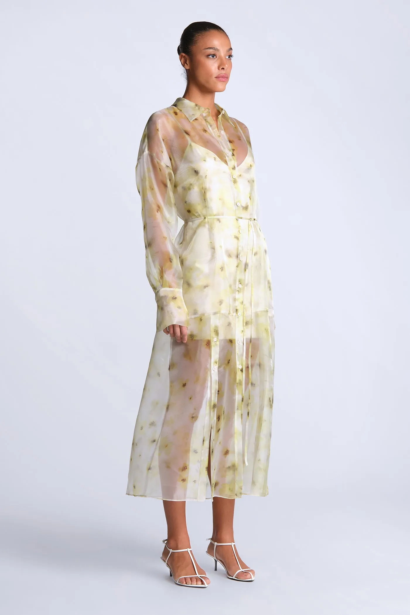 Monica Printed Dress sold by BCBGMaxAzria product image thumbnail 4