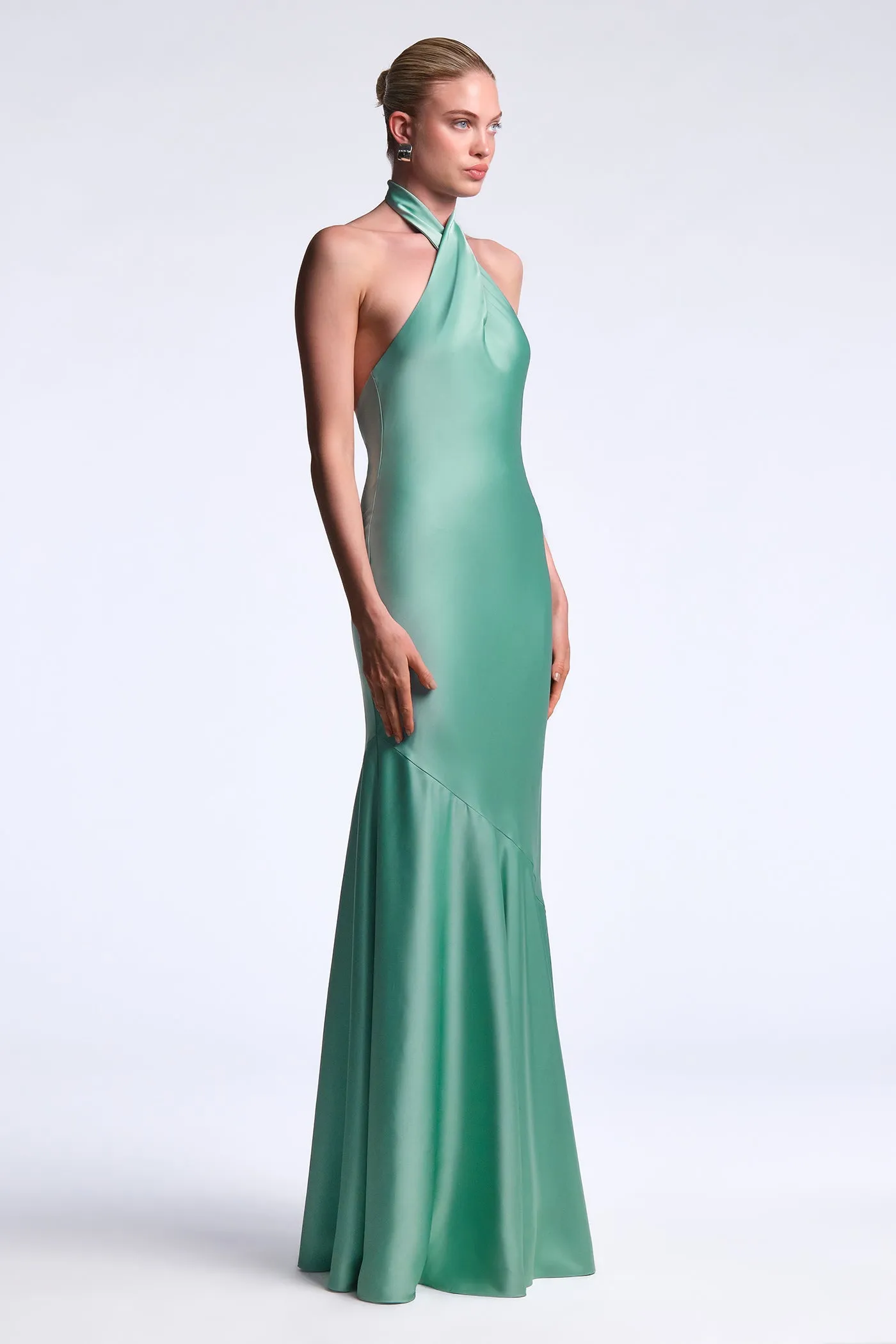 Evelyn Gown sold by BCBGMaxAzria product image thumbnail 4