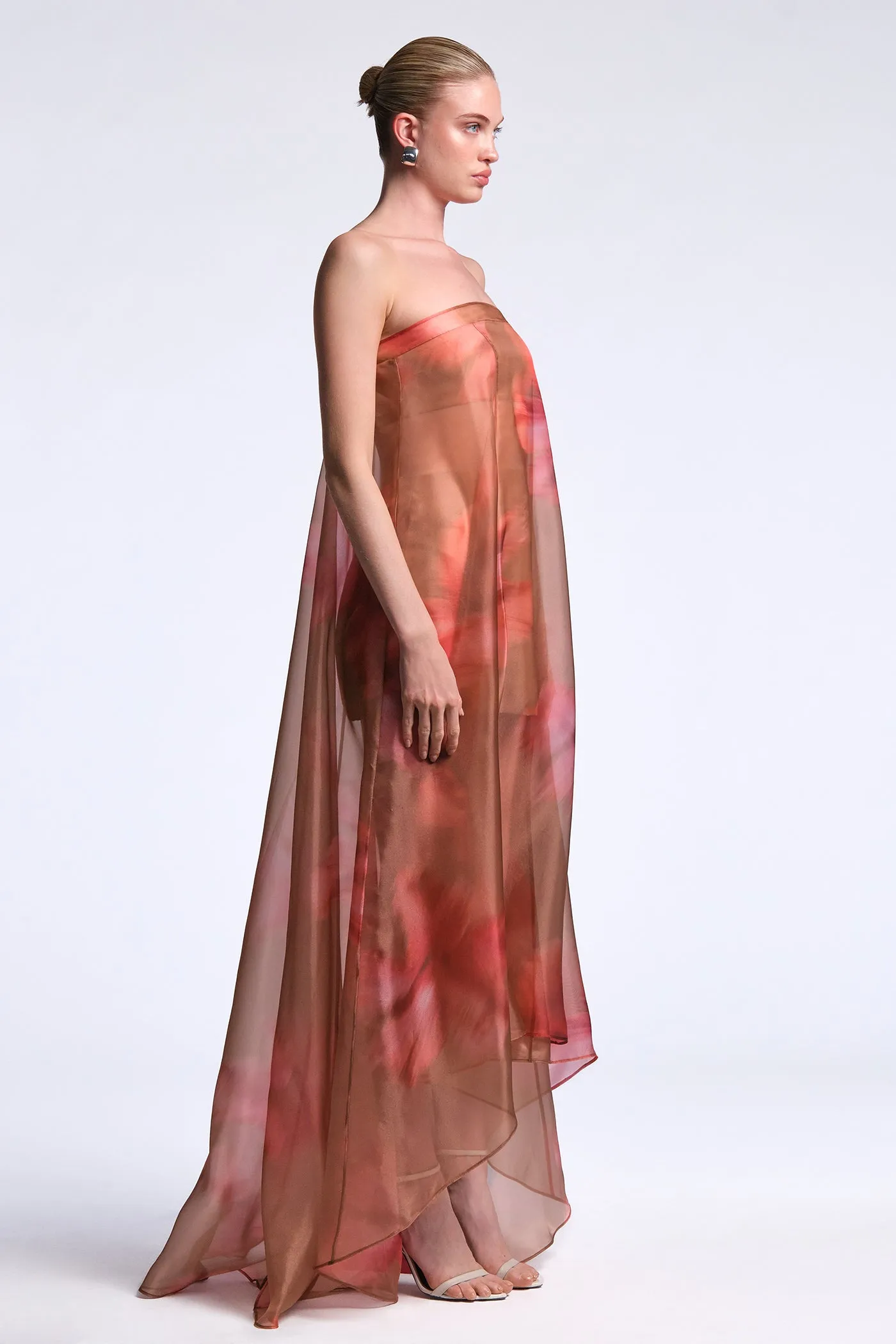 Annika Gown sold by BCBGMaxAzria product image thumbnail 4