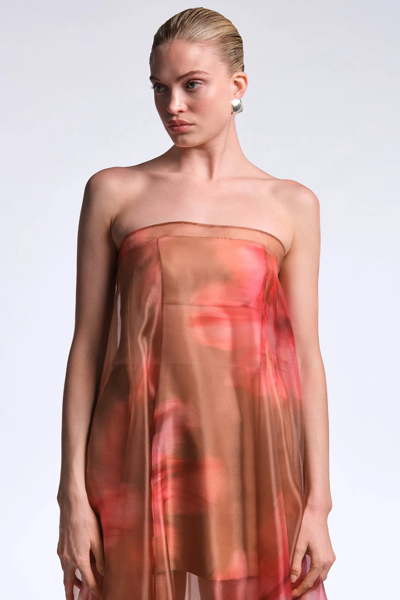Annika Gown sold by BCBGMaxAzria product image thumbnail 5