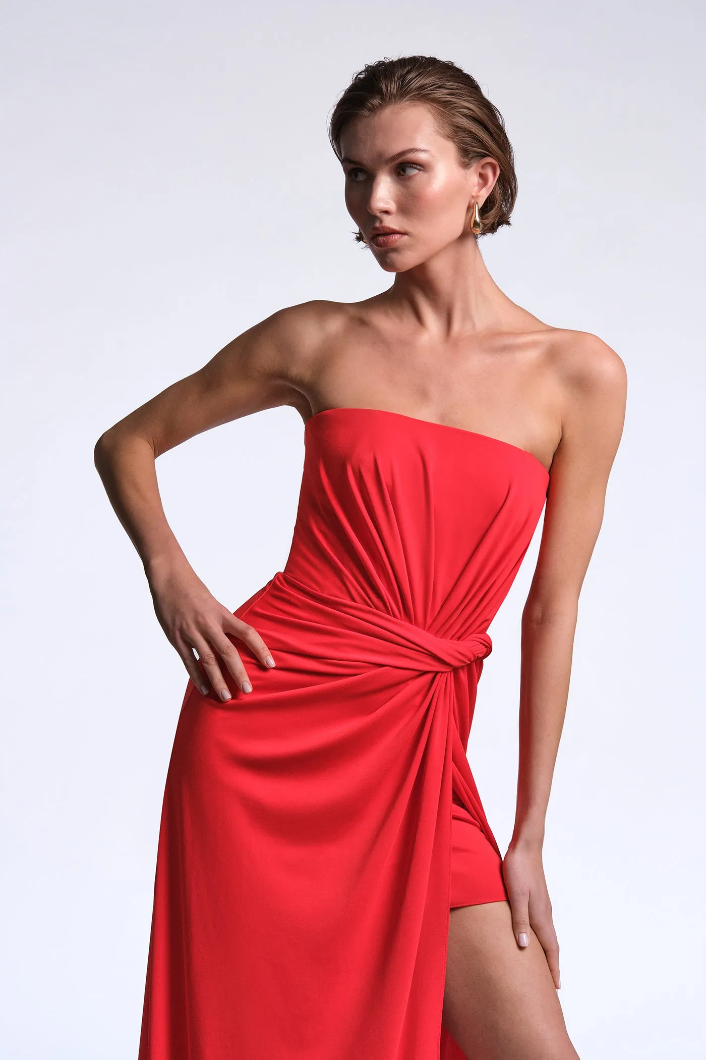 Stella Gown sold by BCBGMaxAzria product image thumbnail 5