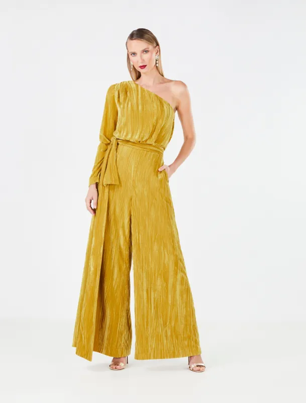 Carina Velvet Jumpsuit sold by BCBGMaxAzria