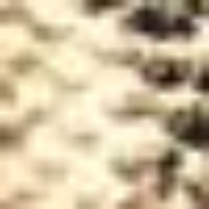Snake Print Mock Neck Midi Dress sold by Bebe