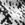 Wide Leg Printed Halter Jumpsuit sold by Bebe product image thumbnail 5