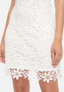 Allover Sleeveless Lace Dress sold by Bebe
