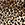 Printed Knit Dress sold by Bebe product image thumbnail 5