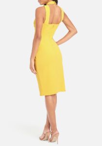 Halter Neck Bodycon Midi Dress sold by Bebe