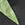 Satin Halter Top sold by Bebe product image thumbnail 5