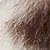 Faux Fur Animal Print Short Jacket sold by Bebe product image thumbnail 5