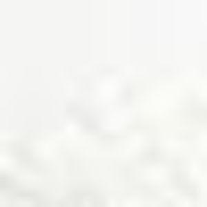 Allover Lace Scallop Knit Top sold by Bebe