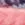 Analia Sneakers sold by Bebe product image thumbnail 5