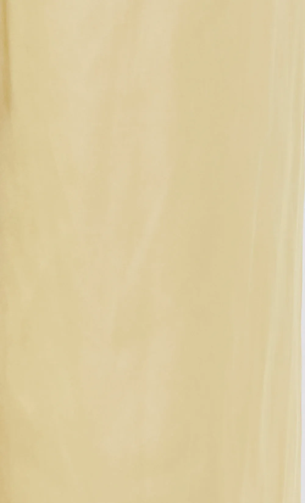 DELPHI PANT - CITRUS sold by bec + bridge product image thumbnail 5