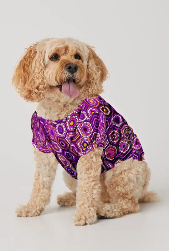 BedHead x Trina Turk Honeycomb Dots Stretch Jersey Dog Pajama sold by BedHead