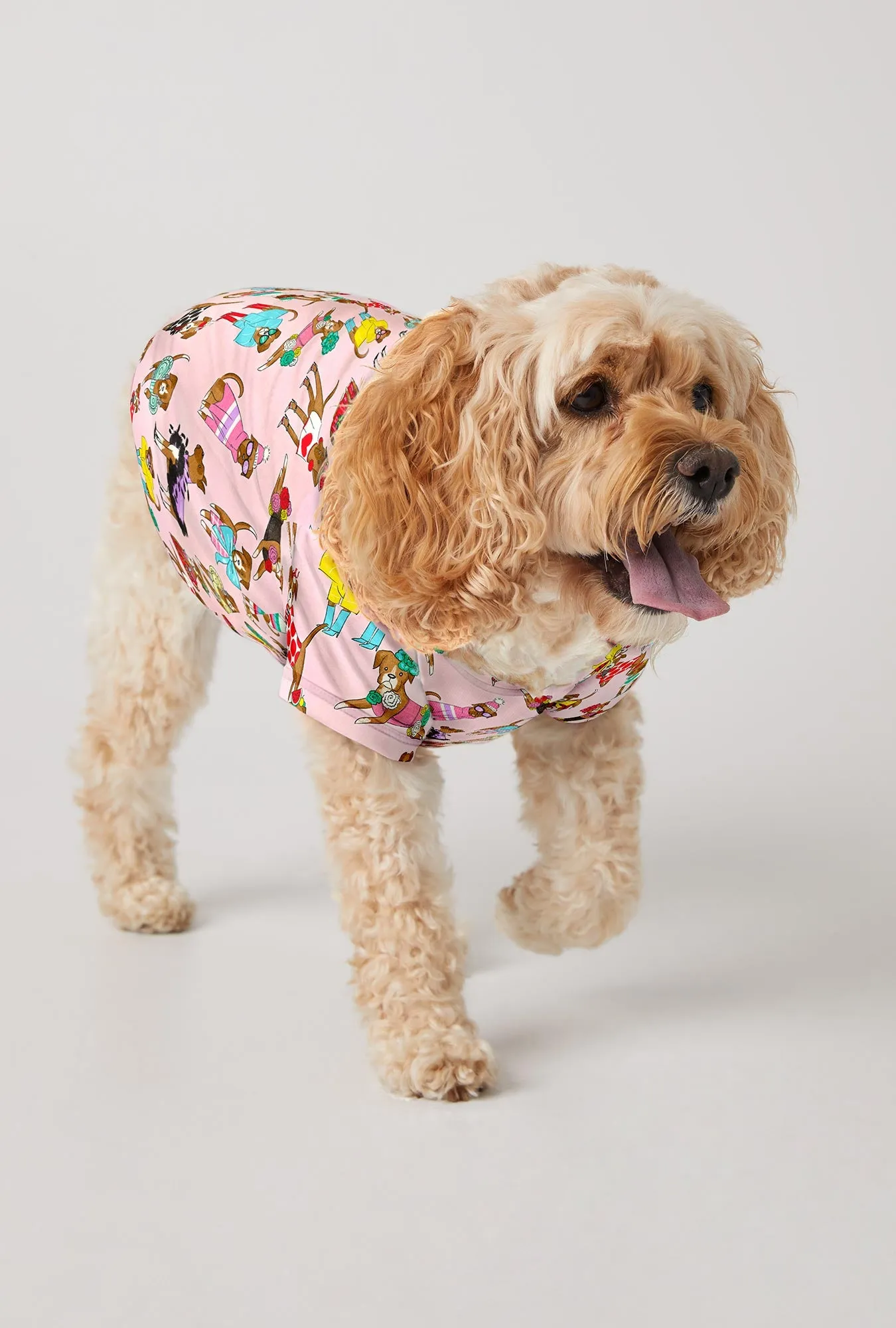 Bedhead x Bronwyn Newport Chic Boxers Stretch Jersey Dog Pajama sold by BedHead product image thumbnail 2