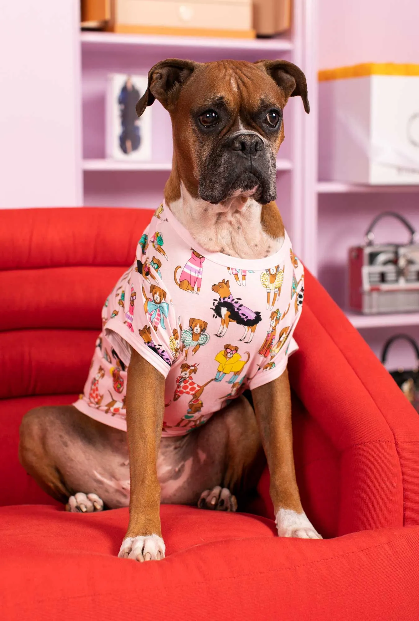 Bedhead x Bronwyn Newport Chic Boxers Stretch Jersey Dog Pajama sold by BedHead