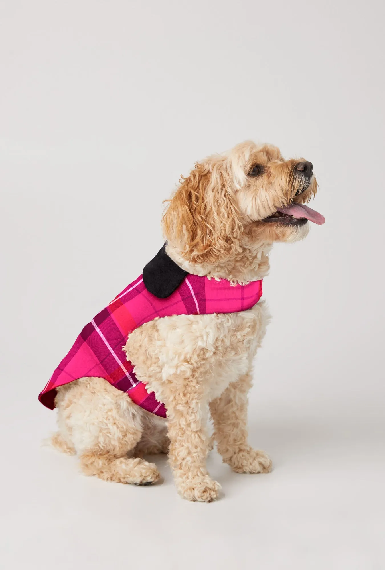 BedHead x Trina Turk Aurora Plaid Woven Portuguese Flannel Dog Pajama sold by BedHead