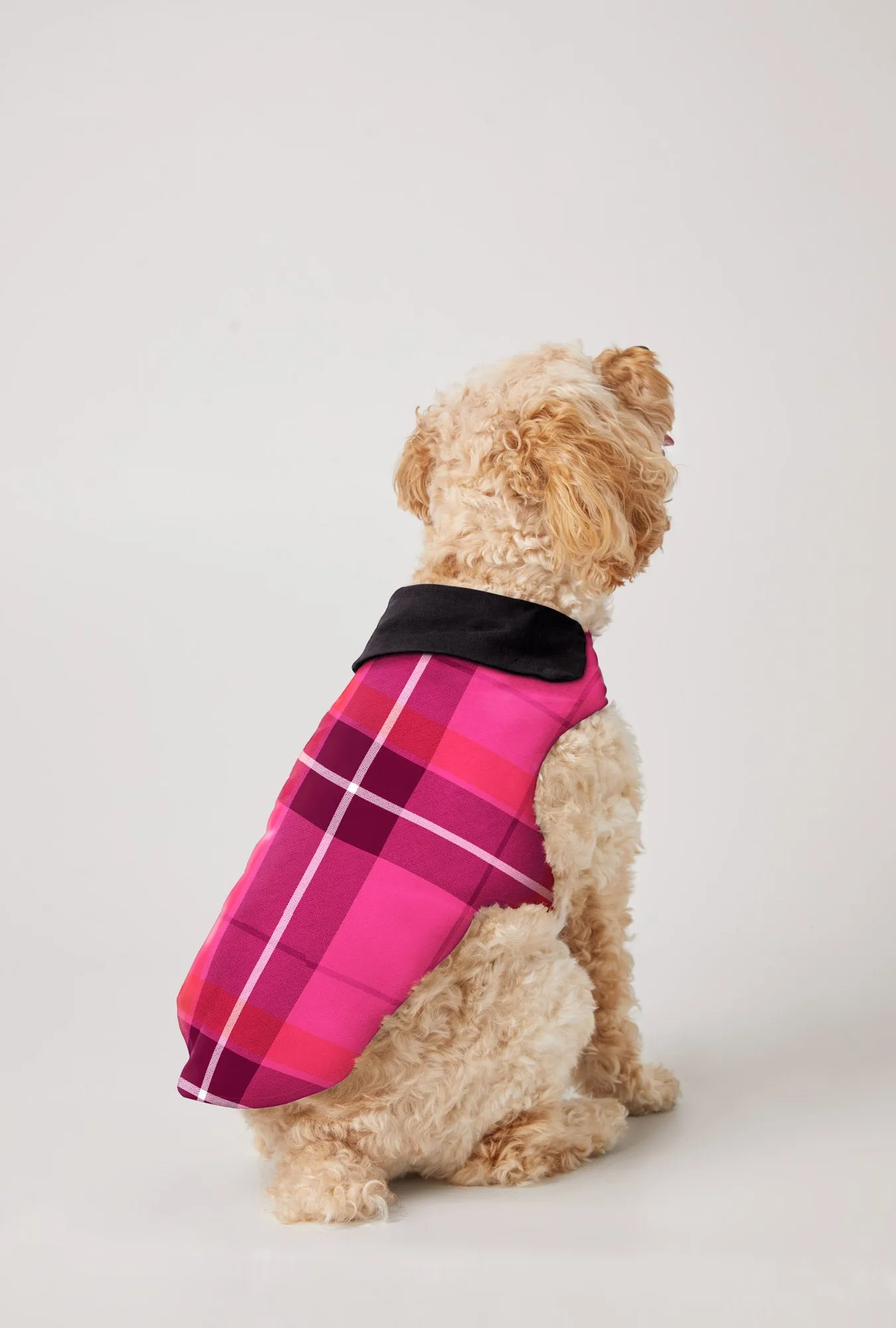 BedHead x Trina Turk Aurora Plaid Woven Portuguese Flannel Dog Pajama sold by BedHead product image thumbnail 2