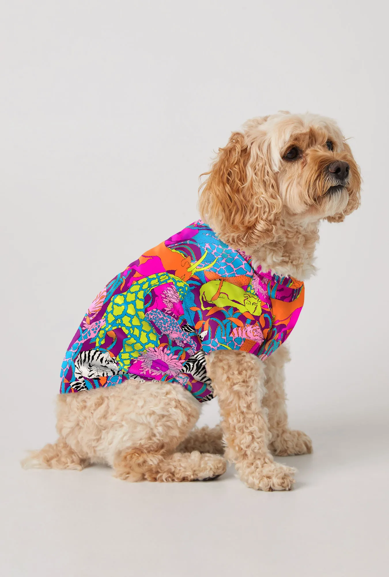 BedHead x Trina Turk Jungle Stretch Jersey Dog Pajama sold by BedHead