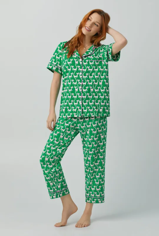 Cool Cats Short Sleeve Classic Stretch Jersey Cropped PJ Set sold by BedHead