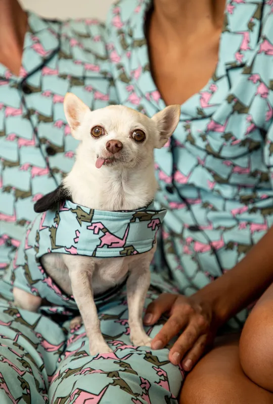 BedHead x Trina Turk Hounds French Terry Lined Woven Cotton Flannel Dog Pajama sold by BedHead
