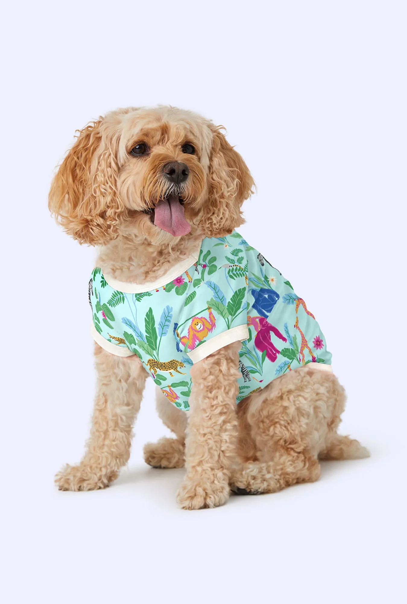 Bedhead x Bronwyn Newport Jungle Boogie Stretch Jersey Dog Pajama sold by BedHead