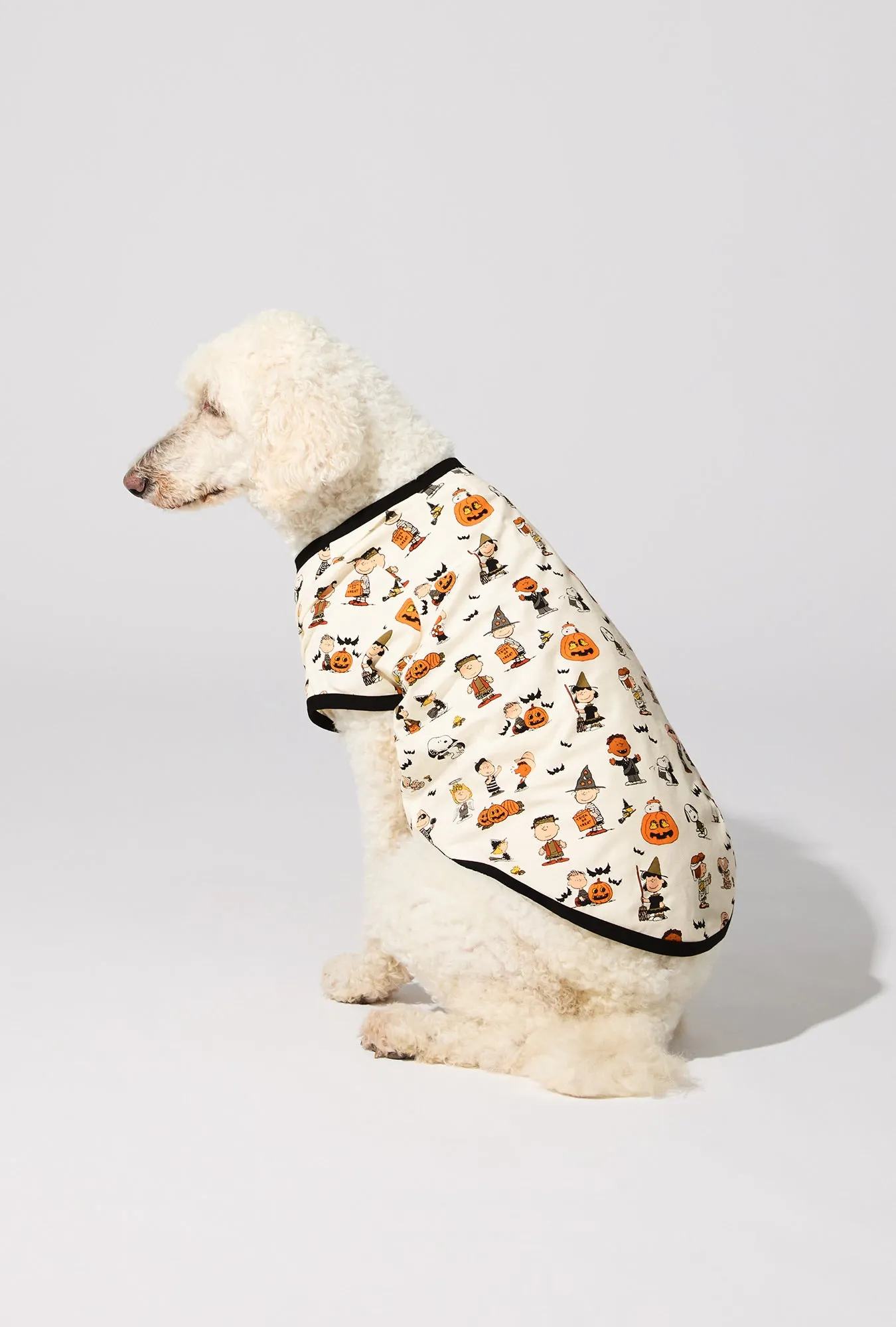Peanuts® Snoopy's Halloween Stretch Jersey Dog Pajama sold by BedHead product image thumbnail 2