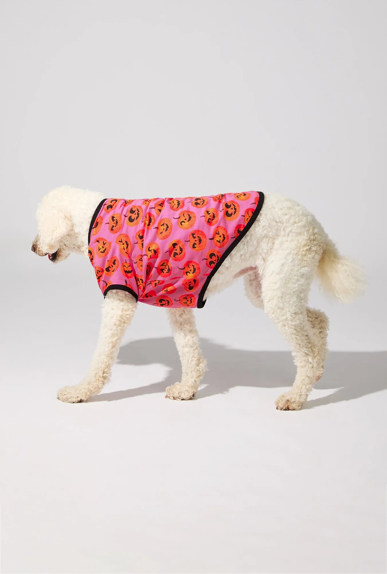 Jolly Jack-O-Lantern Stretch Jersey Dog Pajama sold by BedHead product image thumbnail 3