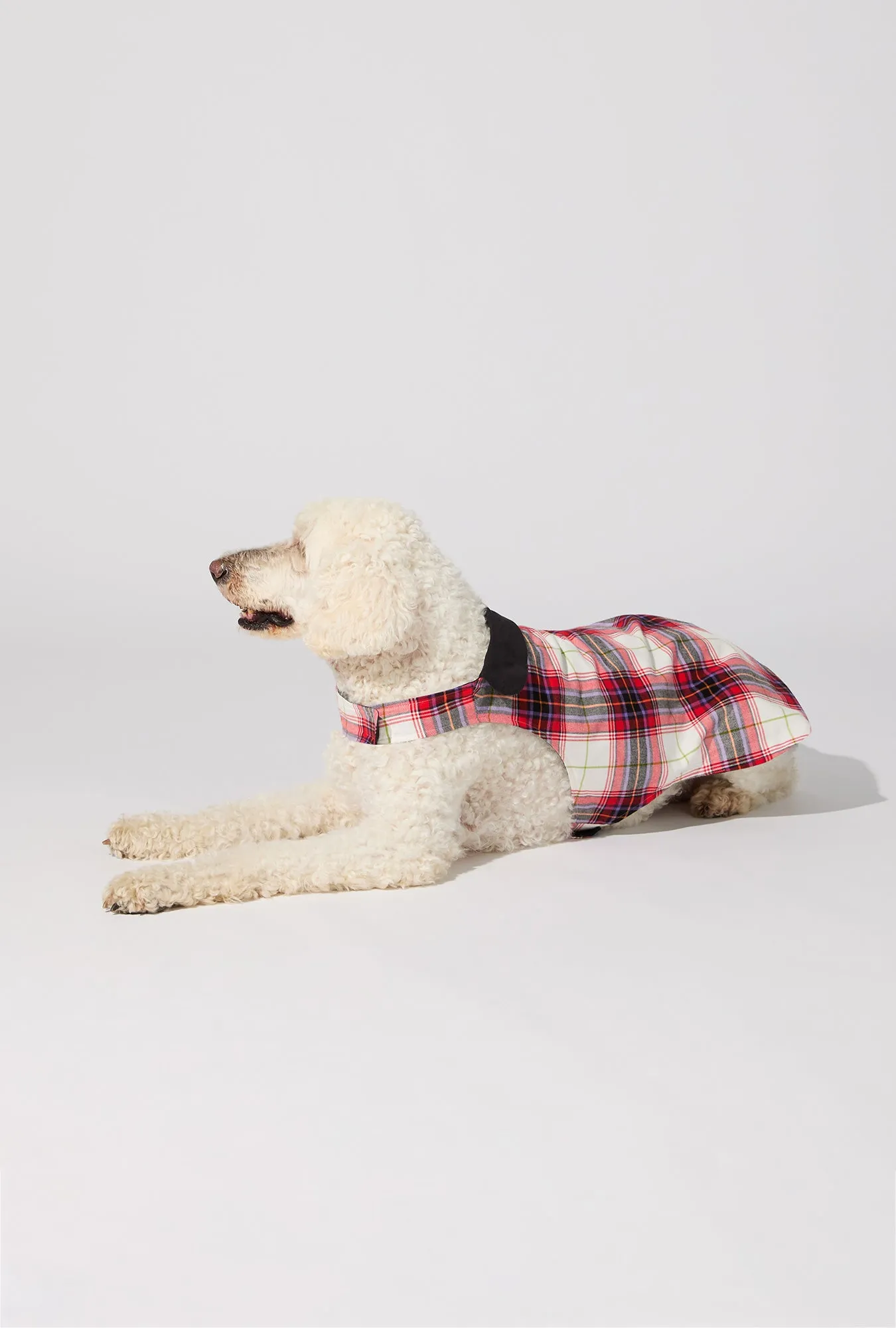 Equestrian Plaid Cotton Jersey Lined Woven Portuguese Flannel Dog Pajama sold by BedHead product image thumbnail 2