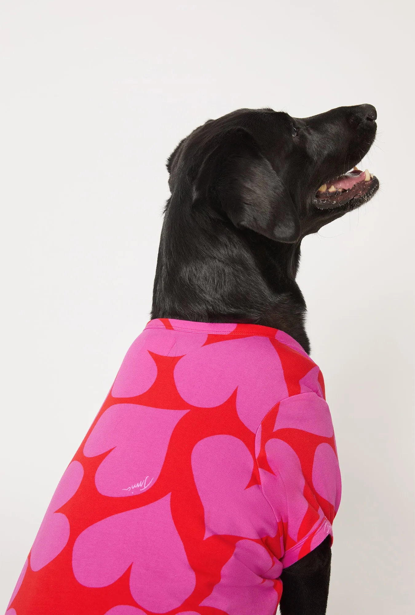 BedHead x Trina Turk Hearts Stretch Jersey Dog Pajama sold by BedHead product image thumbnail 2