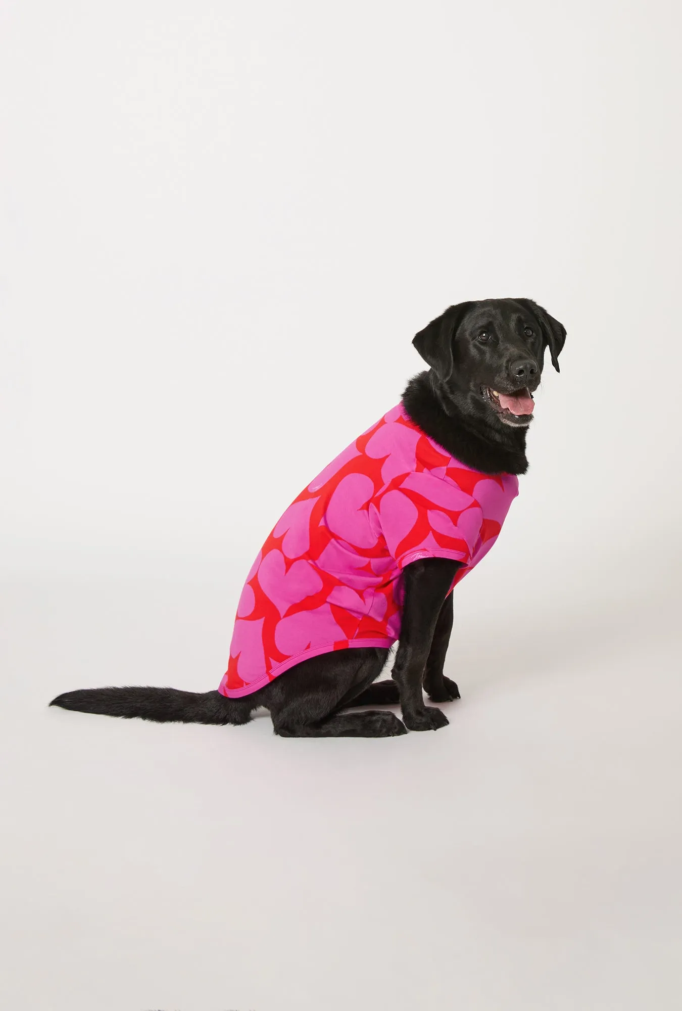 BedHead x Trina Turk Hearts Stretch Jersey Dog Pajama sold by BedHead