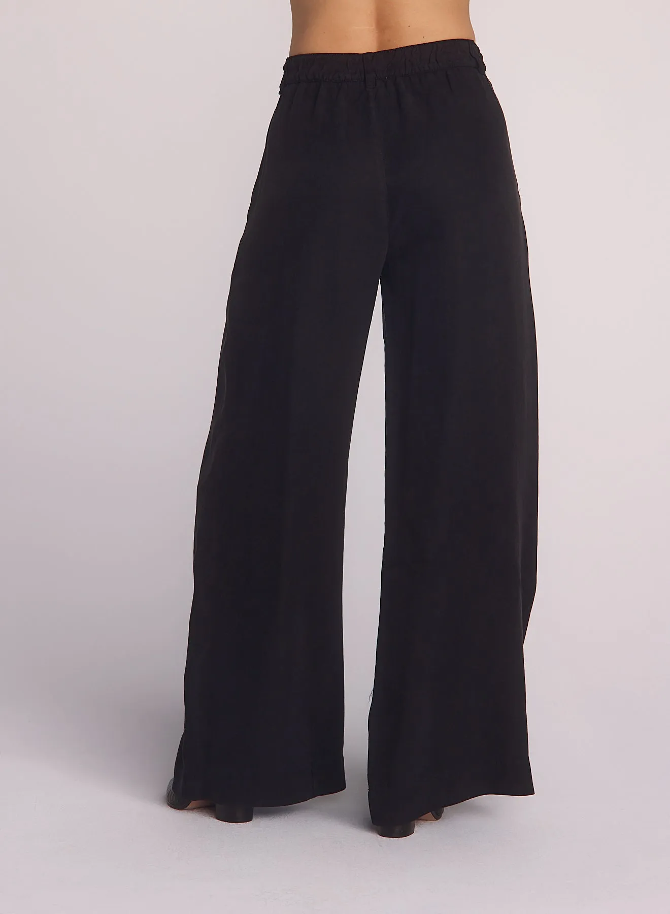 Double Pleated Wide Leg High Waist Pant- Black sold by Bella Dahl product image thumbnail 3