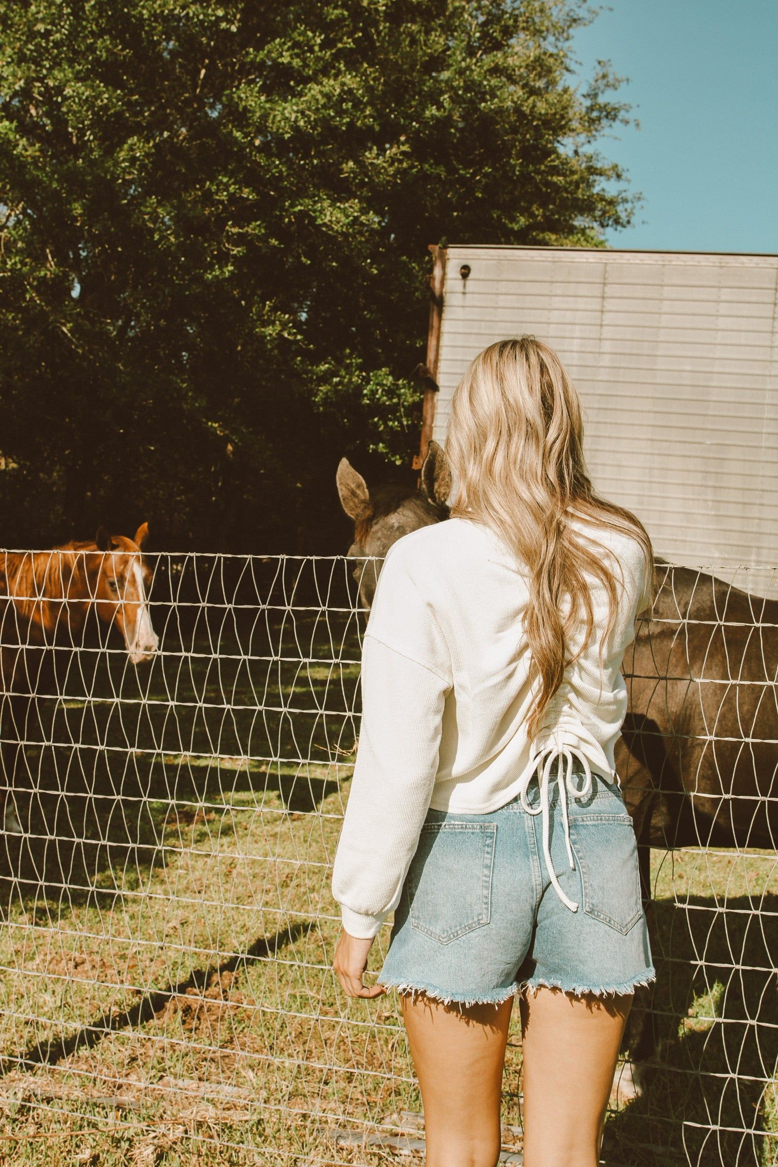 Casual Concepts Ruched Top sold by Bella Rose boutique product image thumbnail 3